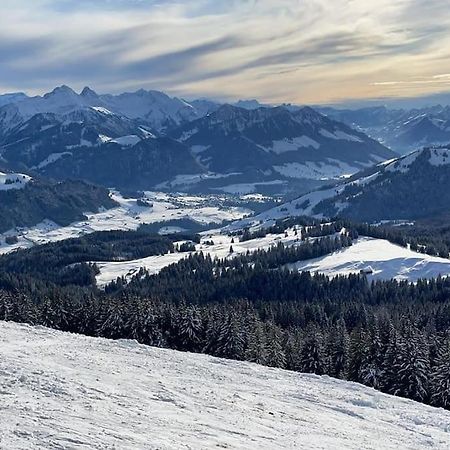 Confortable Chalet Avec Magnifique Vue En Gruyere. Шарме Екстер'єр фото
