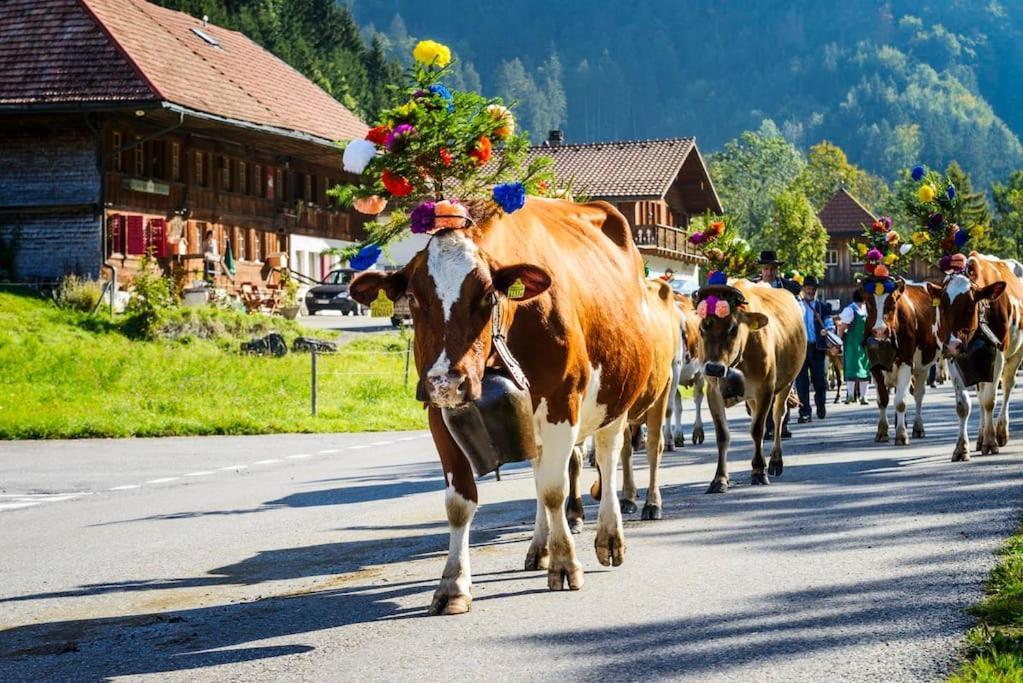 Confortable Chalet Avec Magnifique Vue En Gruyere. Шарме Екстер'єр фото