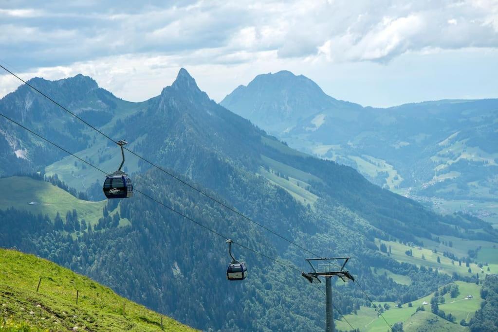 Confortable Chalet Avec Magnifique Vue En Gruyere. Шарме Екстер'єр фото