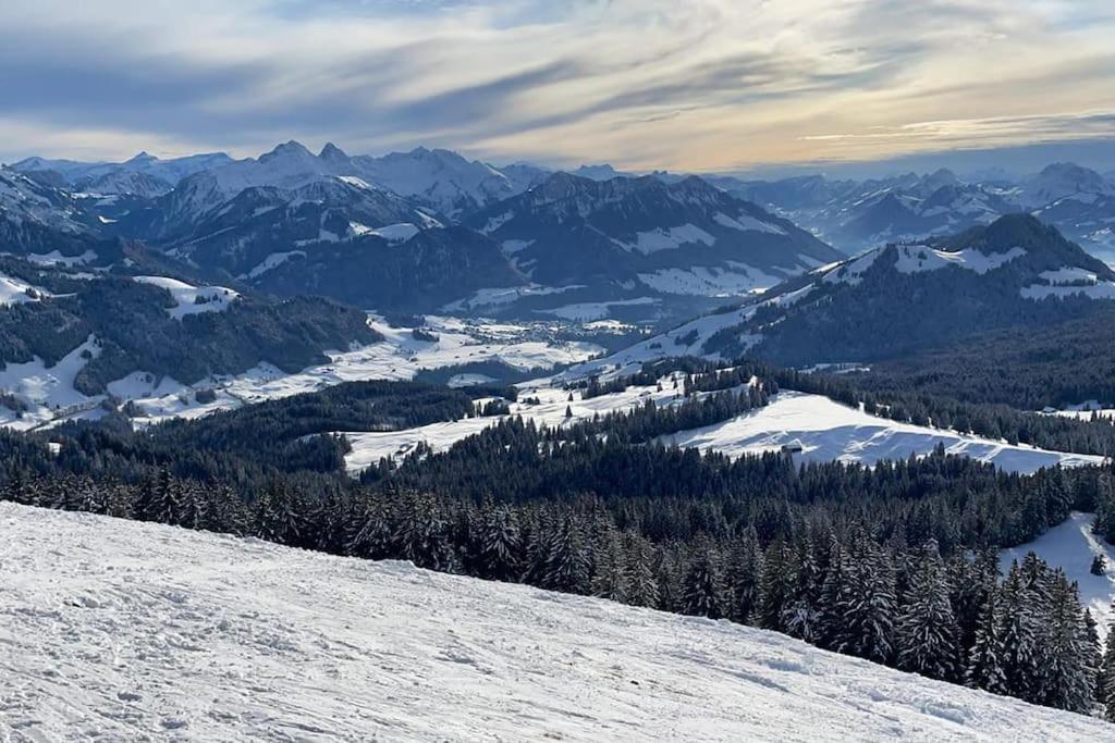 Confortable Chalet Avec Magnifique Vue En Gruyere. Шарме Екстер'єр фото